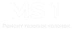 MS 1